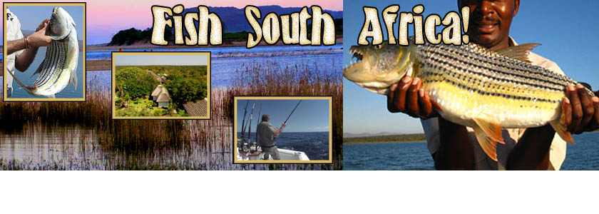 South African Fishing
